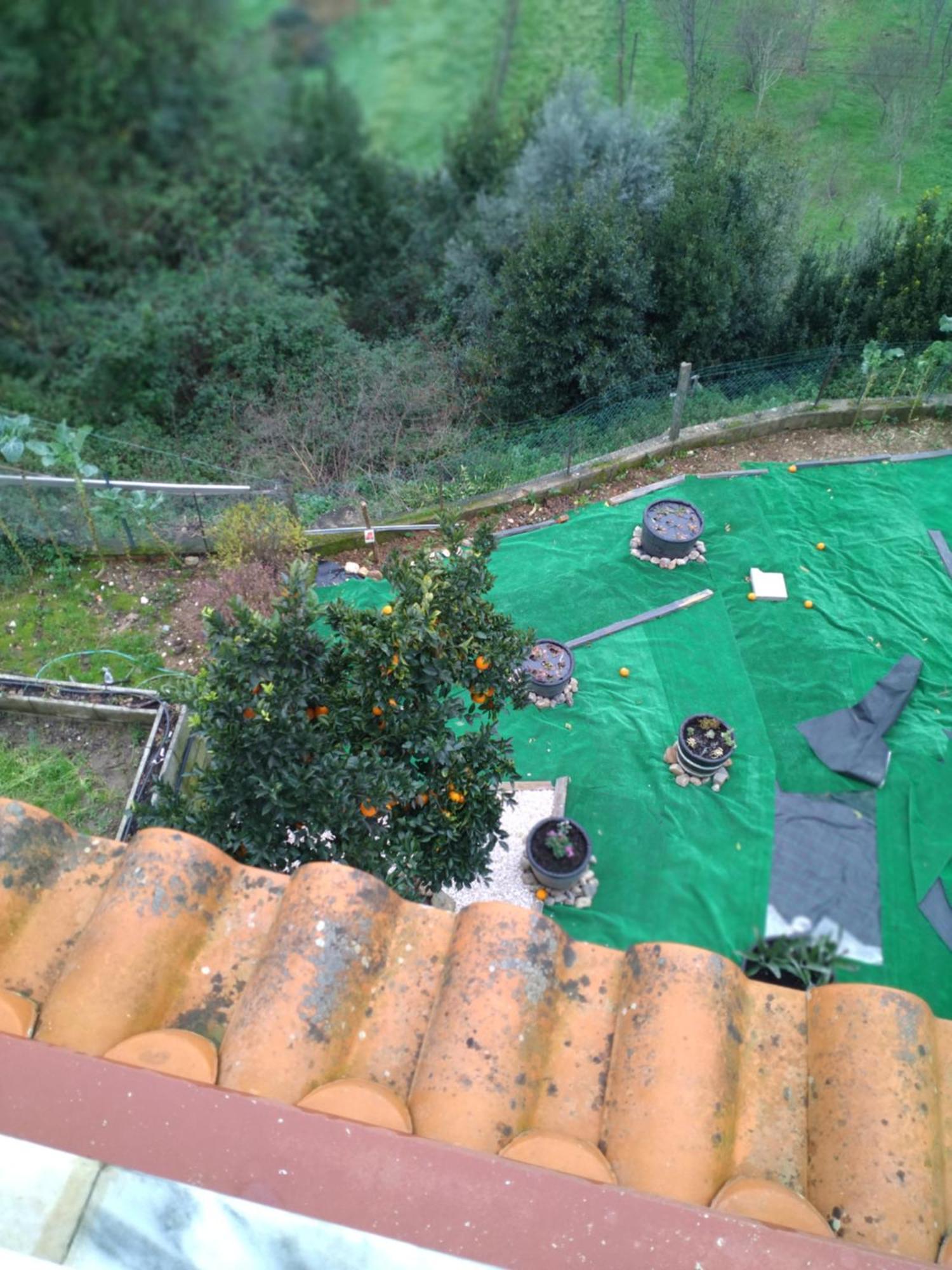Moradia Lili Villa Ronqueira ภายนอก รูปภาพ